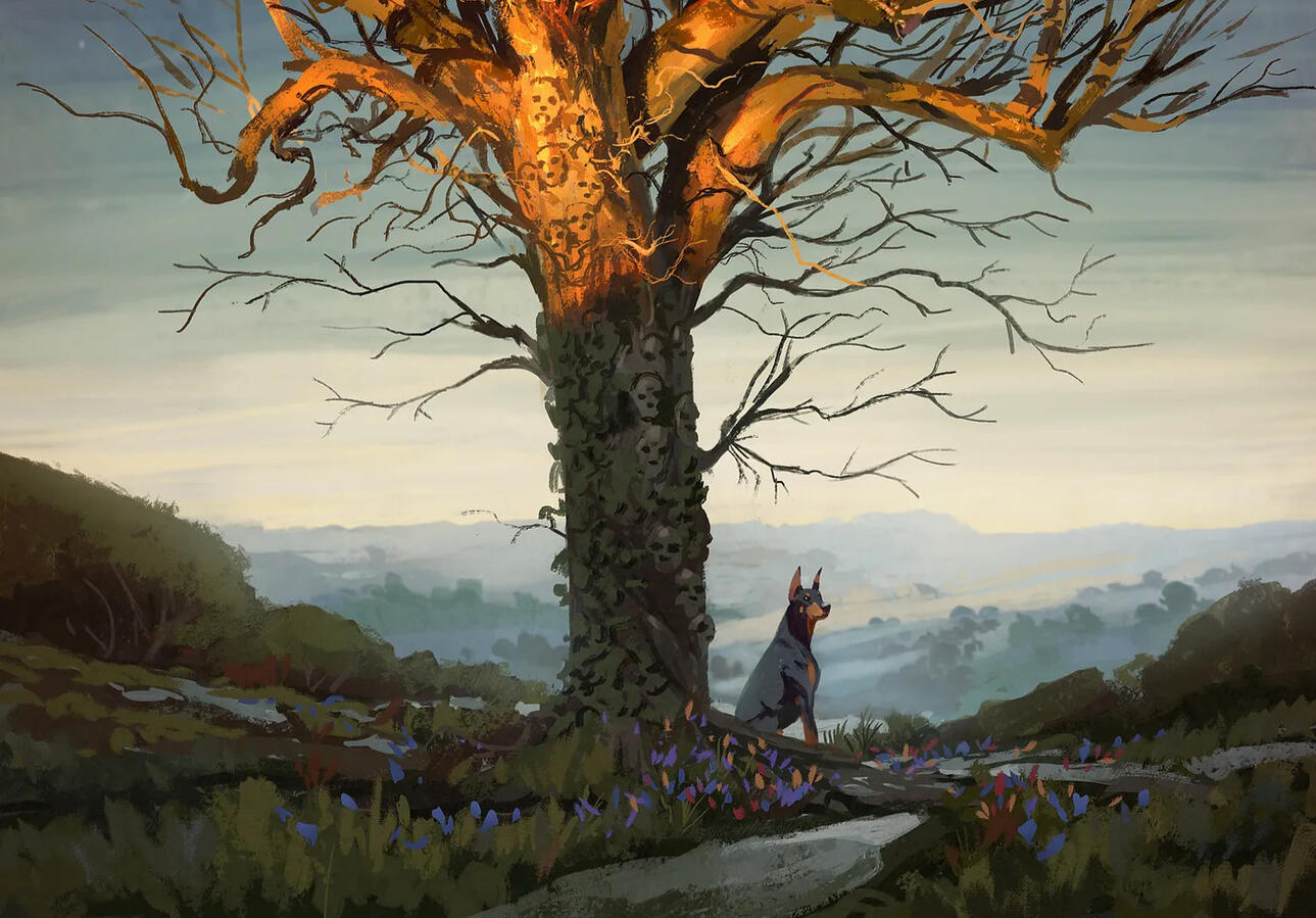 Tree Barks, I Answer